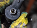 форсунка IVECO Daily 5 поколение (2011 - 2014), 3.0 л., дизель, 0445120036 - фото №2