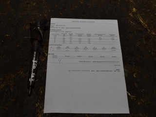 форсунка IVECO Daily 5 поколение (2011 - 2014), 3.0 л., дизель, 0445120036