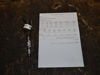 форсунка IVECO Daily 5 поколение (2011 - 2014), 3.0 л., дизель, 0445120036