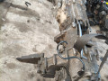 КПП механическая (МКПП) BMW X3 E83 (2003 - 2006), 2.0 л., дизель, M47T, 1069401061, 1069401051, 1069401052 - фото №6