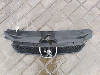 решетка радиатора Peugeot 406 1 поколение [рестайлинг] (1999 - 2004), 9631250277