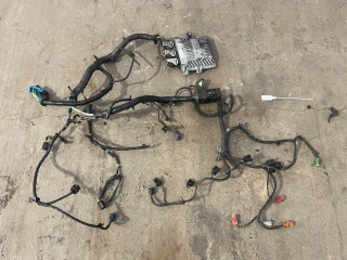 проводка двигателя Ford S-Max 1 поколение (2006 - 2010), KKDA, 5WS40303J, J38AC