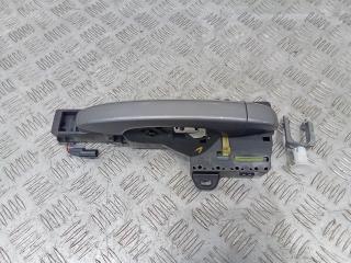 ручка наружная задняя левая Renault Talisman 1 поколение 2016, 806079016R