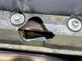двигатель BMW X5 E53 2001, 4.4 л., бензин, M62B44, M62B44TU, 448S2 - фото №8