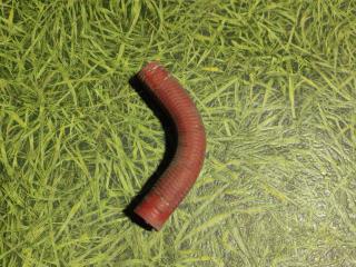 трубка выхлопных газов MAN TGX 1 поколение 2017, 12.4 л., D 2676 LF 52, дизель, АКПП, правый руль, 81963050517