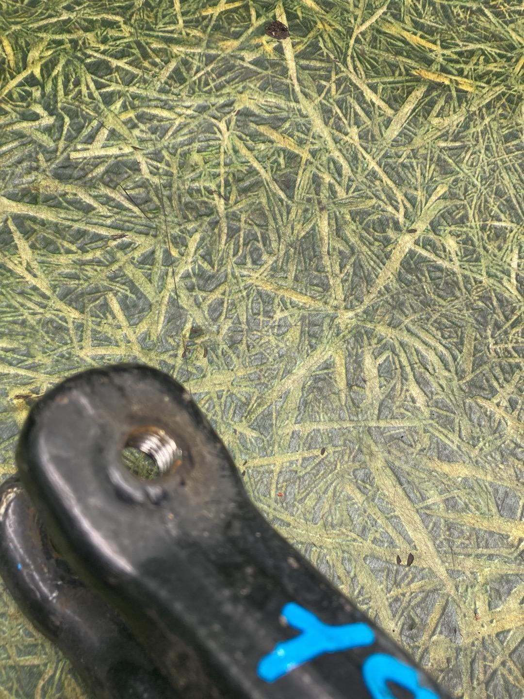 thumb