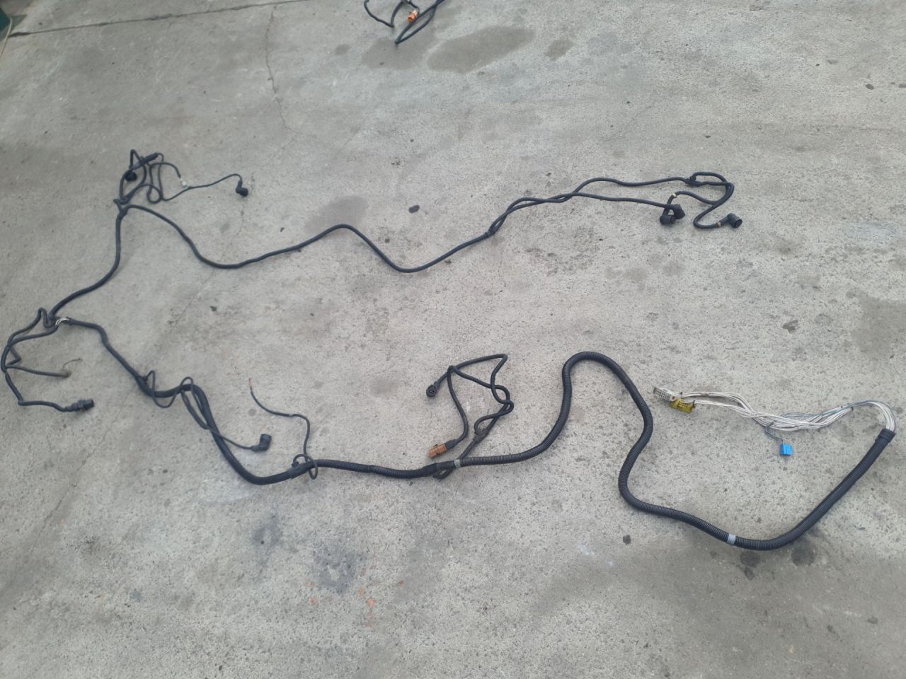 проводка MAN TGX 1 поколение 2015, 12.4 л., D 2676 LF 26, дизель, МКПП, 81254595010, 81254597089 - фото №1