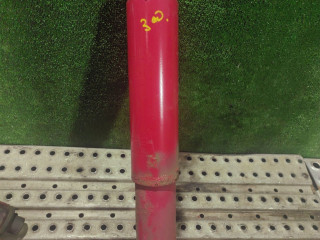 амортизатор задний DAF XF 106 1 поколение 2018, дизель, АКПП, правый руль, 1924212