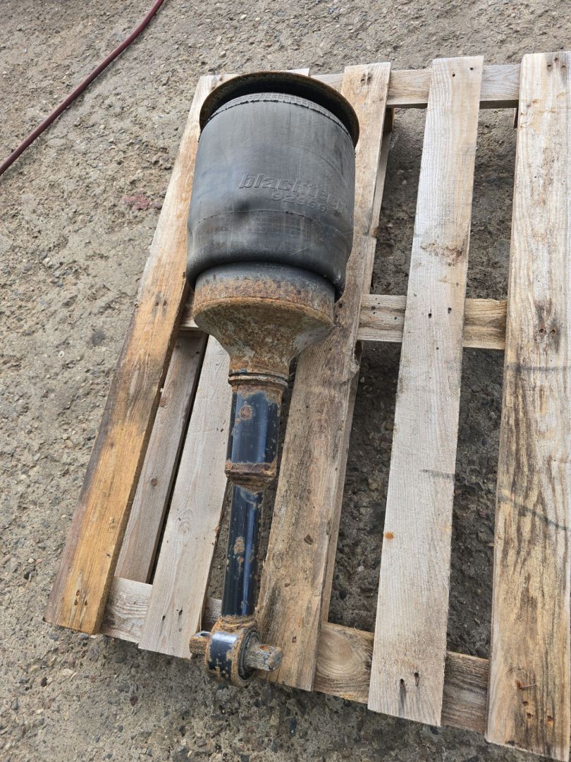 пневмостойка передняя MAN TGA 1 поколение 2008, 10.5 л., D 2066 LF 36, дизель, МКПП, 81436506020 - фото №1