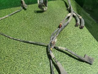 проводка AdBlue DAF XF 105 1 поколение 2008, дизель, МКПП, 1834218