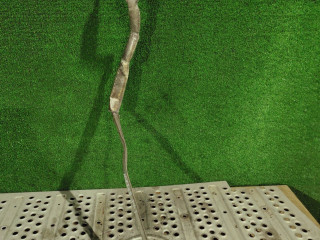 трубка горного тормоза MAN TGX 1 поколение 2016, 12.4 л., D 2676 LF 45, дизель, АКПП, правый руль, 51091085050