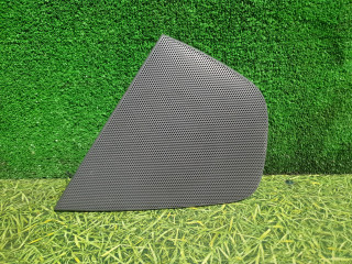 сетка на динамик DAF XF 106 1 поколение 2018, дизель, АКПП, правый руль, 1665961