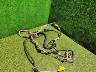 дверная проводка MAN TGX 1 поколение 2017, 12.4 л., D 2676 LF 52, дизель, АКПП, правый руль, 81254210237, 81960010549