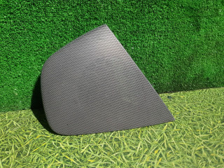 сетка на динамик DAF XF 106 1 поколение 2018, дизель, АКПП, правый руль, 1665962