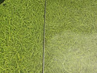 тяга замка двери передняя левая Ford F-Max 2019, дизель, АКПП, T384207