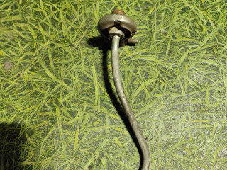 Форсунка Adblue MAN TGX 1 поколение 2016, 12.4 л., D 2676 LF 45, дизель, АКПП, правый руль, 50062516, 81154006226, 81154006107