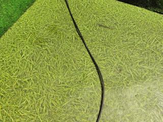 тросик печки DAF XF 105 1 поколение 2011, МКПП, 1681101