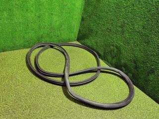 уплотнитель двери MAN TGX 1 поколение 2016, 12.4 л., D 2676 LF 52, дизель, АКПП, правый руль, 81626510104