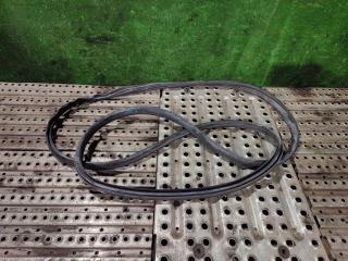 уплотнитель двери Ford F-Max 2019, дизель, АКПП, JC46E2053031A