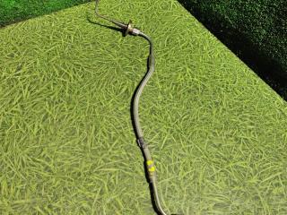 Форсунка Adblue DAF XF 105 1 поколение 2011, 12.9 л., MX 340, дизель, МКПП, 1734003, 0444012003