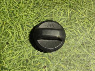 крышка бачка омывателя Scania 6-series 2019, 13.0 л., OC13 101 L01, газ, АКПП, 2303271