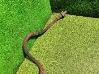 проводка DAF XF 106 1 поколение 2017, дизель, АКПП, правый руль, 2114923