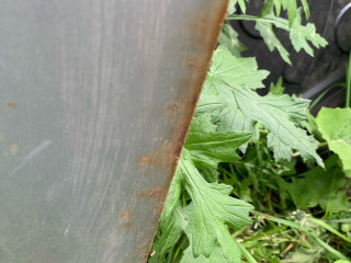 дверь передняя правая Chery Tiggo (T11) 1 поколение 2010, бензин, внедорожник 5 дв., передний привод, T1161010120DY