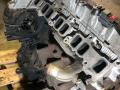 двигатель Ford Transit 6 поколение 2005, 2.4 л., D2FA, дизель, YC1Q6007LE, YC1Q-6K537-AG - фото №5
