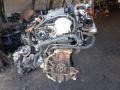 двигатель Volkswagen Golf 5 поколение 2008, 1.9 л., BLS, дизель, МКПП, BLS - фото №3