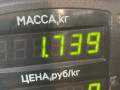 пружина задняя Fiat Punto 2 поколение 2002, 1.8 л., 188 A6.000, бензин, МКПП, серый, хетчбэк 3 дв., передний привод - фото №3