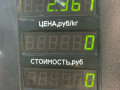 амортизатор передний Mercedes-Benz S-Класс W140 [2-й рестайлинг] 1996, 2.8 л., бензин, АКПП, серебро, седан, задний привод - фото №4