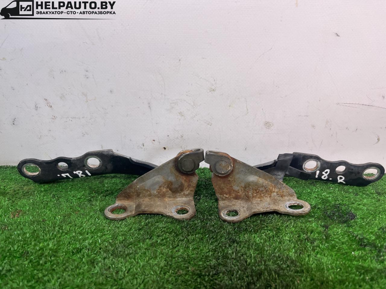 петля капота Toyota Carina E 1 поколение T190 1995, 1.6 л., 4A-FE, бензин, МКПП, зелёный, хетчбэк 5 дв., передний привод - фото №1