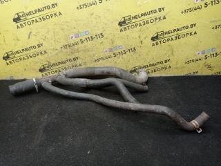 патрубок радиатора Renault Scenic 1 поколение 1998, 1.9 л., F9Q 716, дизель, МКПП, синий, минивэн, передний привод