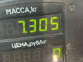 стойка задняя Ford Probe 2 поколение 1995, 2.0 л., i, бензин, МКПП, купе, передний привод - фото №3