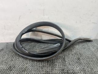 уплотнитель двери Ford Focus 1 поколение (1998 - 2001), дизель, МКПП, белый, универсал, передний привод