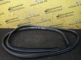 уплотнитель двери Ford Focus 2 поколение 2006, 1.6 л., HWDA, бензин, МКПП, красный, хетчбэк 5 дв., передний привод