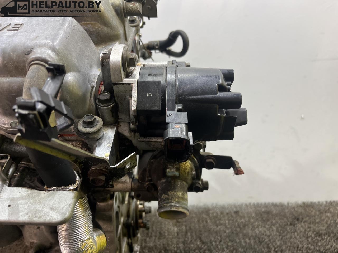 распределитель зажигания (трамблёр) Nissan Primera P11 (1996 - 2000), 2.0 л., SR20DE, бензин, МКПП, передний привод - фото №1