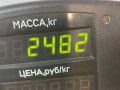 пружина задняя Opel Astra G 1998, 1.4 л., X 14 XE, бензин, МКПП, серебро, универсал, передний привод - фото №3