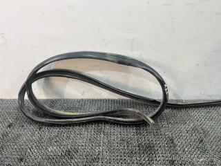 уплотнитель двери Ford Focus 1 поколение (1998 - 2001), дизель, МКПП, белый, универсал, передний привод