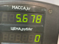 суппорт передний правый Opel Zafira 1 поколение (A) 2002, 2.2 л., дизель, МКПП, синий, минивэн, передний привод - фото №2
