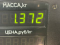 амортизатор задний правый Fiat Punto 2 поколение 2002, 1.8 л., 188 A6.000, бензин, МКПП, серый, хетчбэк 3 дв., передний привод - фото №3