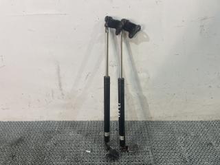 амортизатор капота Hyundai Terracan 1 поколение 2003, 2.5 л., D4BH, дизель, АКПП, серебристый, внедорожник 5 дв., полный подключаемый привод