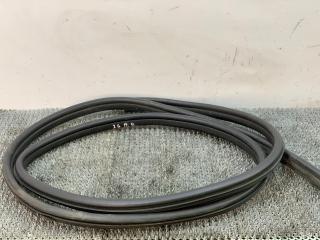 уплотнитель двери Renault Scenic 1 поколение 1997, 1.9 л., F8Q 786, дизель, МКПП, серый, передний привод