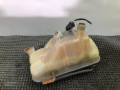 бачок расширительный Mercedes-Benz C-Класс W202/S202 [рестайлинг] W202 1997, 2.2 л., OM 604.910, дизель, МКПП, темно зеленный металлик, седан, задний привод - фото №5