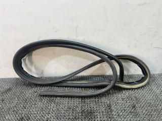 уплотнитель двери Ford Focus 1 поколение (1998 - 2001), дизель, МКПП, белый, универсал, передний привод