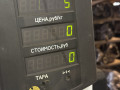 пепельница Opel Zafira 1 поколение (A) 1999, 1.8 л., бензин, МКПП, серый, передний привод, 90580259-4 - фото №5
