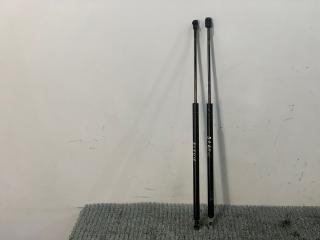 амортизатор крышки багажника (3-5 двери) Renault Scenic 1 поколение 1998, 1.9 л., F9Q 716, дизель, МКПП, синий, минивэн, передний привод