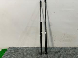 амортизатор крышки багажника (3-5 двери) Renault Scenic 1 поколение 1997, 1.9 л., F8Q 786, дизель, МКПП, серый, передний привод