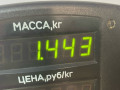 пружина задняя Kia Rio 1 поколение 2002, 1.5 л., A5D, бензин, 5МКПП, синий, универсал - фото №3