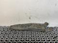 кронштейн КПП Opel Astra G 2000, 1.8 л., X 18 XE1, бензин, МКПП, передний привод, 90495450 - фото №3